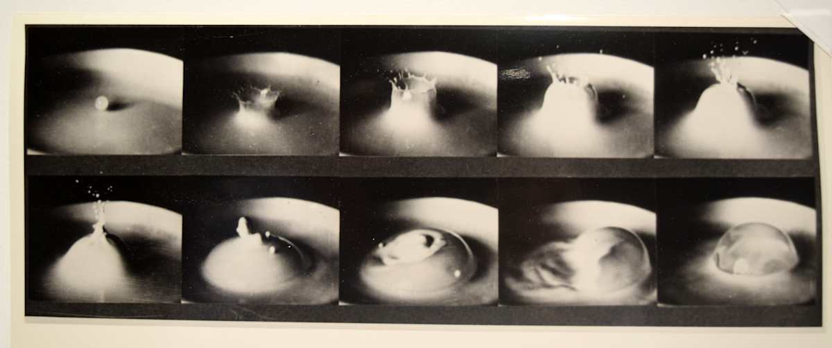Milk Droplet by Harold Edgerton, Image 1.