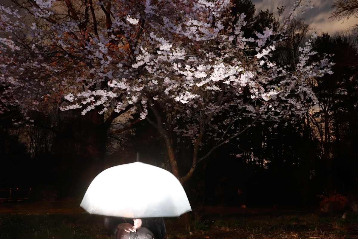 Light Rain by Alexa de la Pena, Image 1.