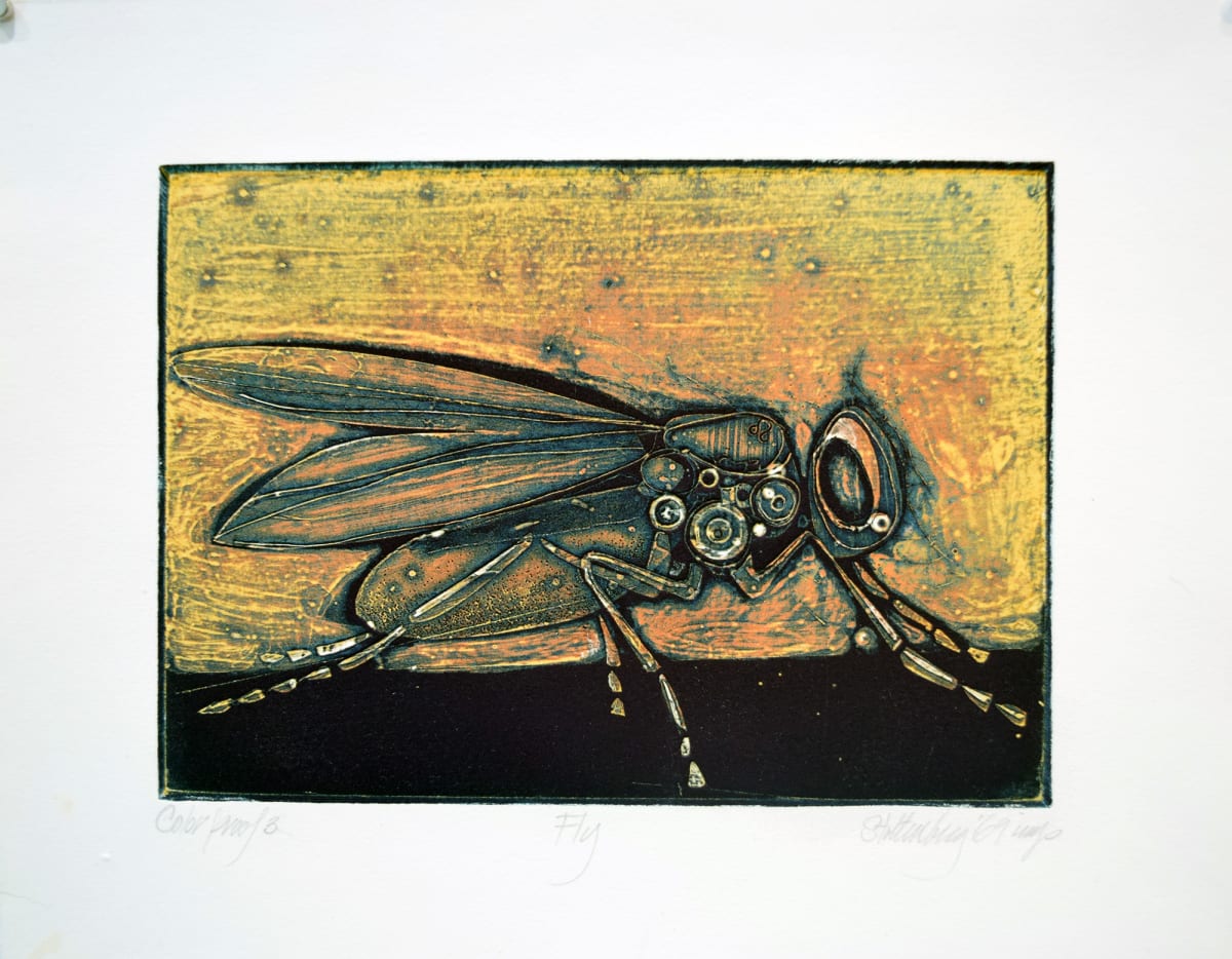 Fly by Donald Stoltenberg  Image: Fly by Donald Stoltenberg