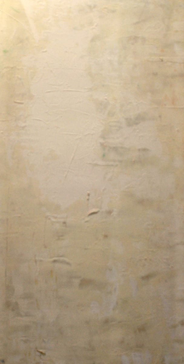 Ghost Dancer by Dan Christiansen 