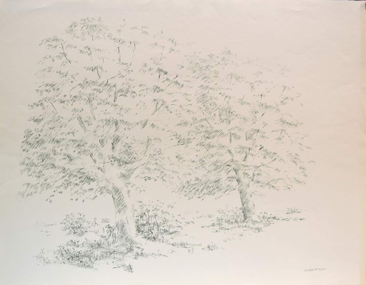 Two Trees by Joel Goldblatt, Image 1.