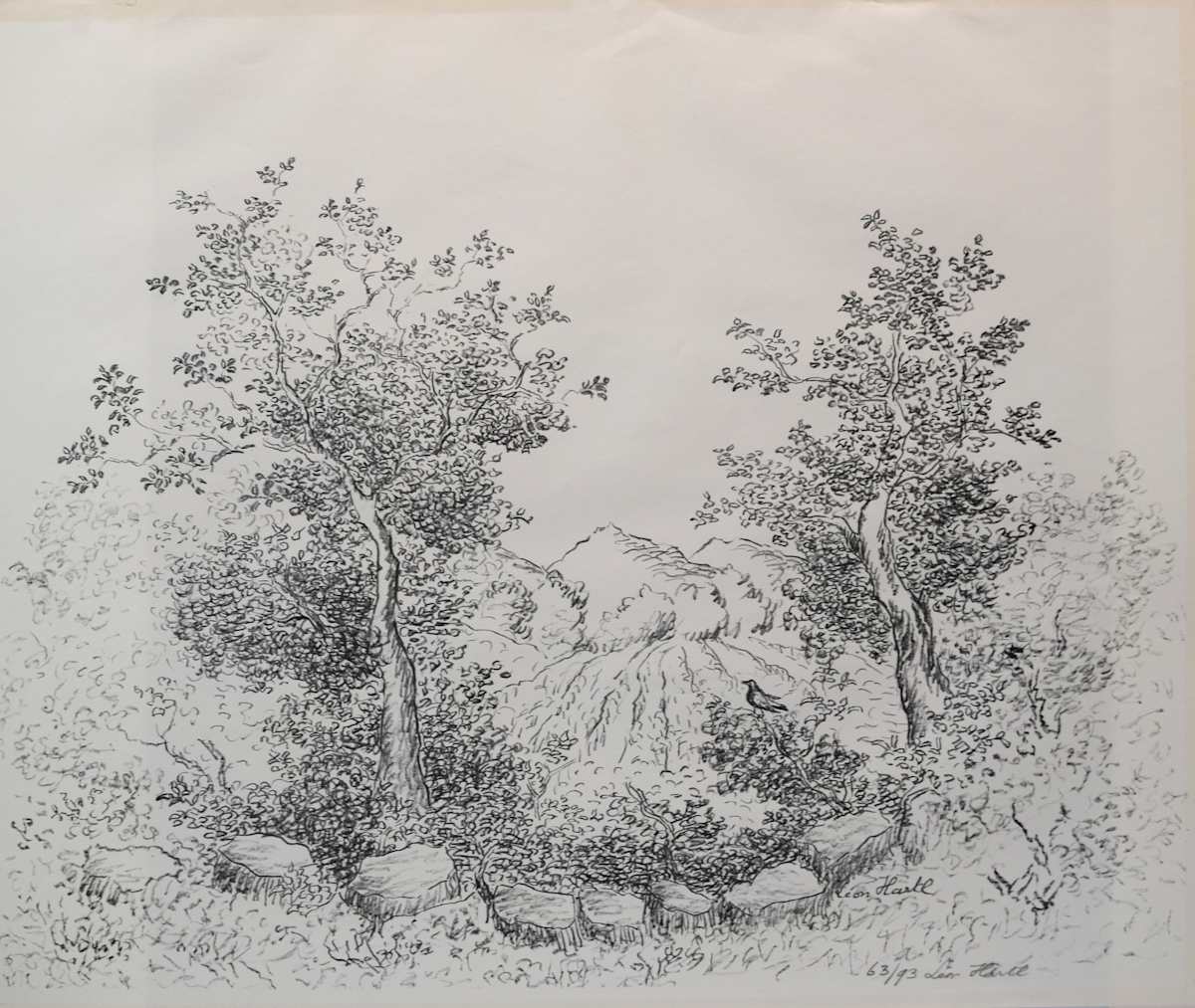Trees and Field by Leon Hartl, Image 2.