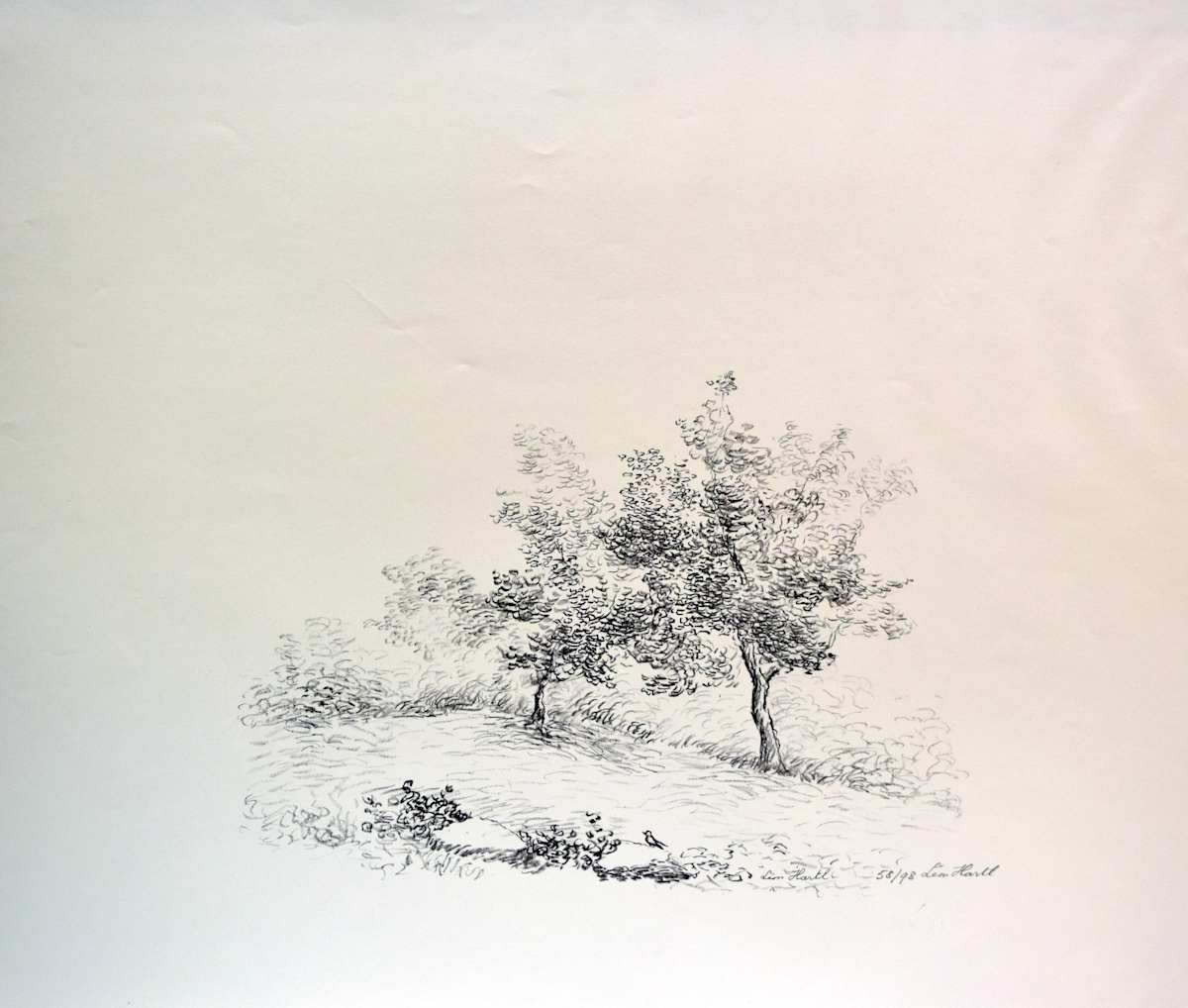 Trees and Field by Leon Hartl, Image 1.