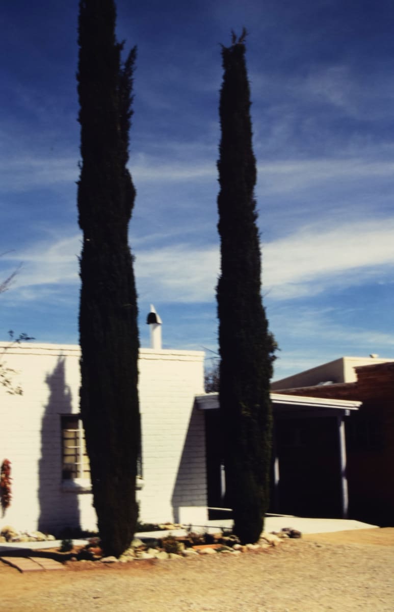 White House with Trees, Tubac by Robert Ward  Image: White House with Trees, Tubac by Robert Ward