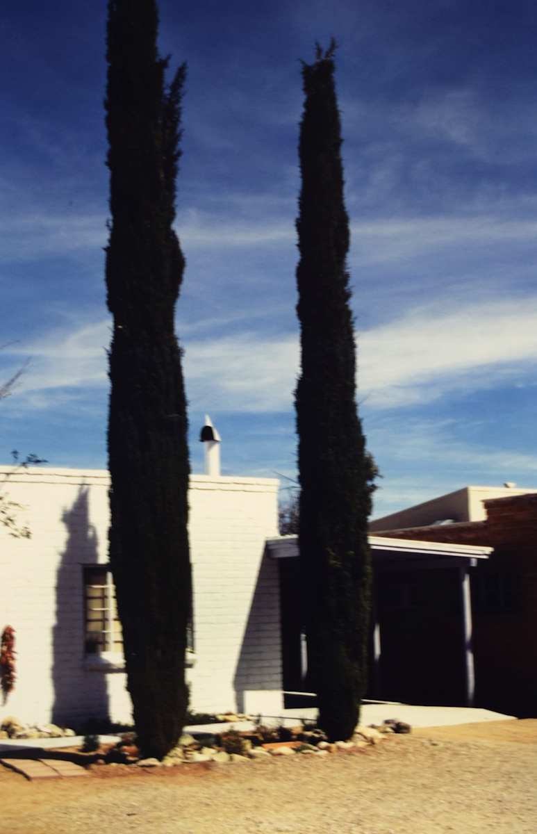 White House with Trees, Tubac by Robert Ward, Image 1.