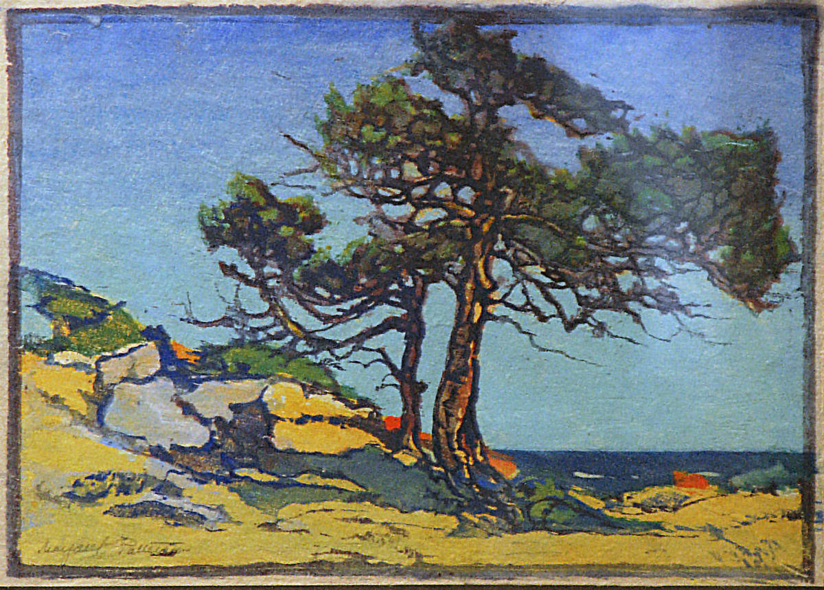 Coast Cedars by Margaret Patterson 