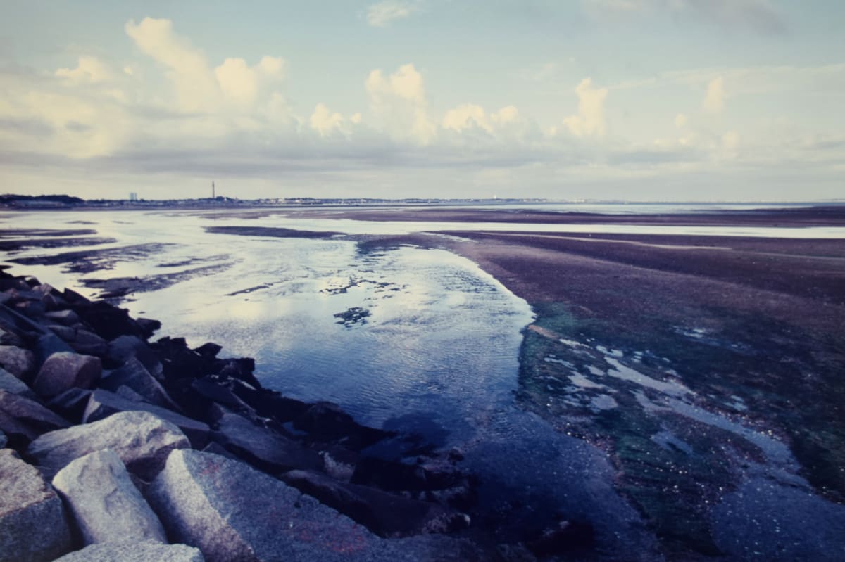 Low Tide with Green, Provincetown by Robert Ward  Image: Low Tide with Green, Provincetown by Robert Ward