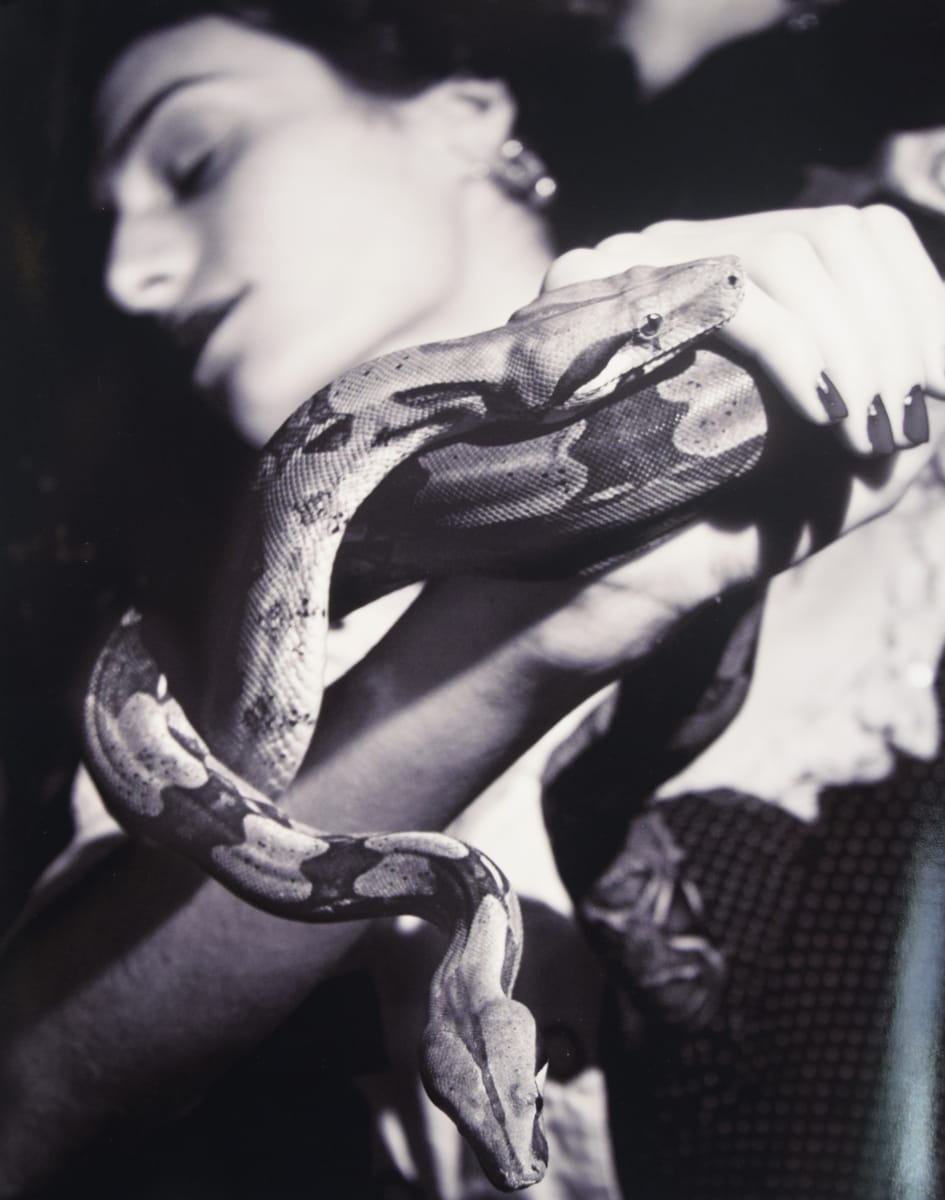 Medusa's Serpents by F. Rousseau 