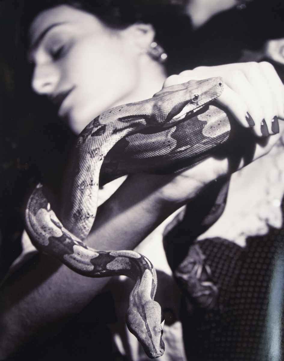 Medusa's Serpents by F. Rousseau, Image 1.