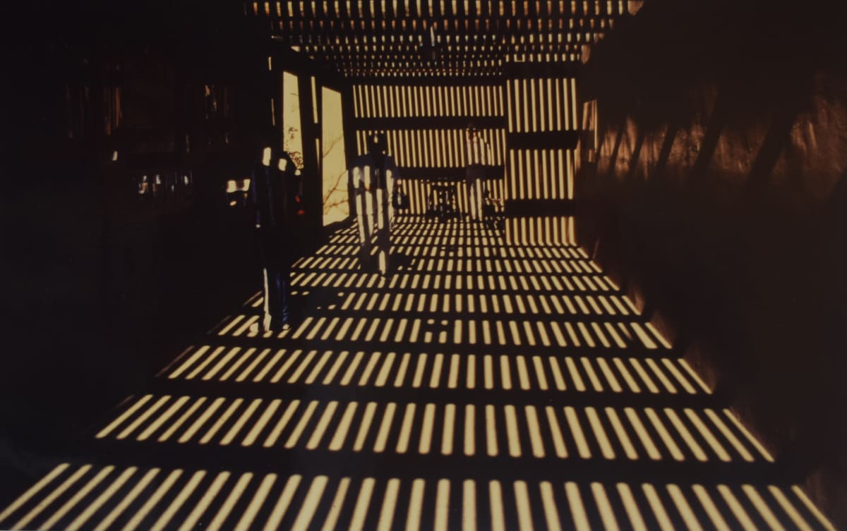 Arizona Sonora Desert Museum by Robert Ward 