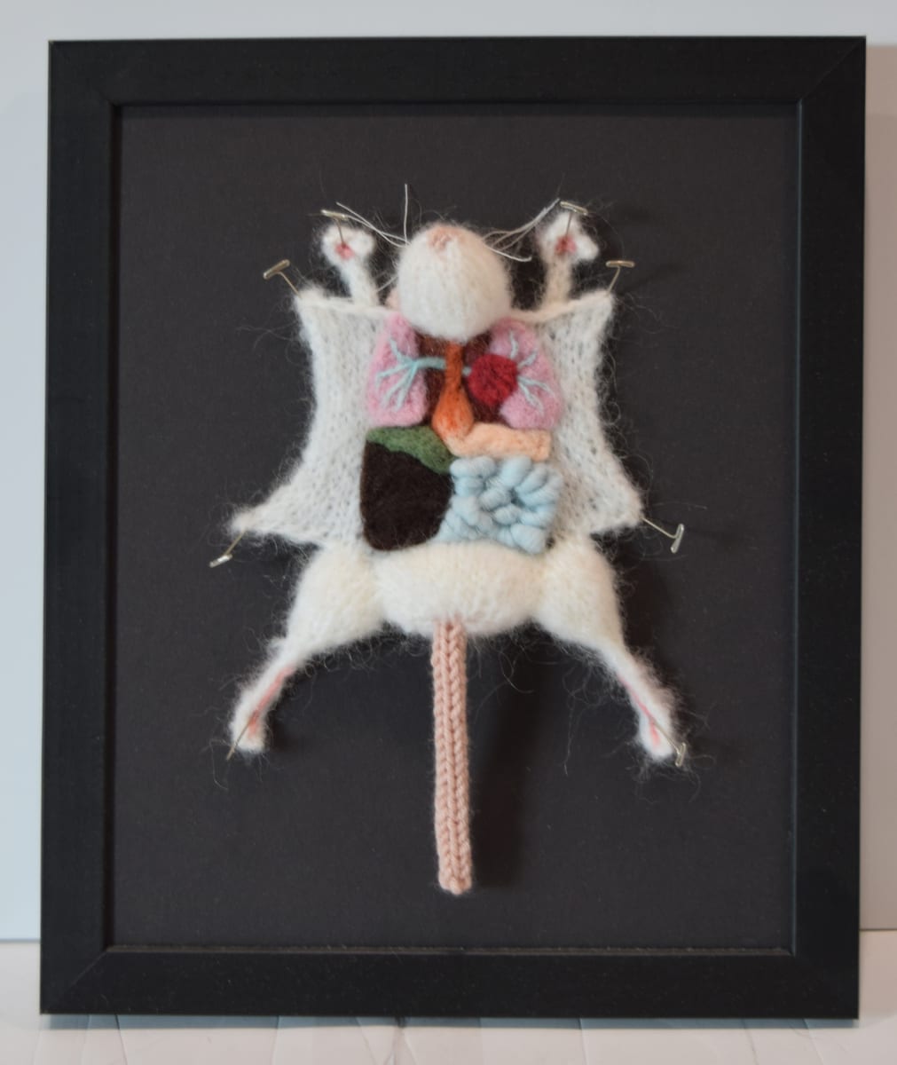 Lab Rat by Emily Stoneking  Image: Lab Rat by Emily Stoneking