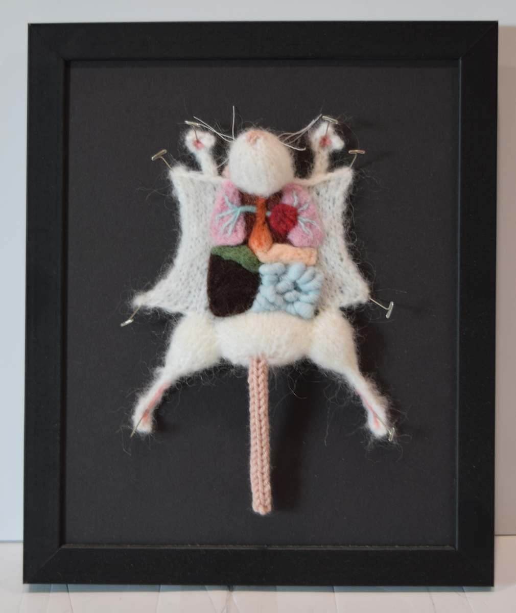 Lab Rat by Emily Stoneking, Image 1.