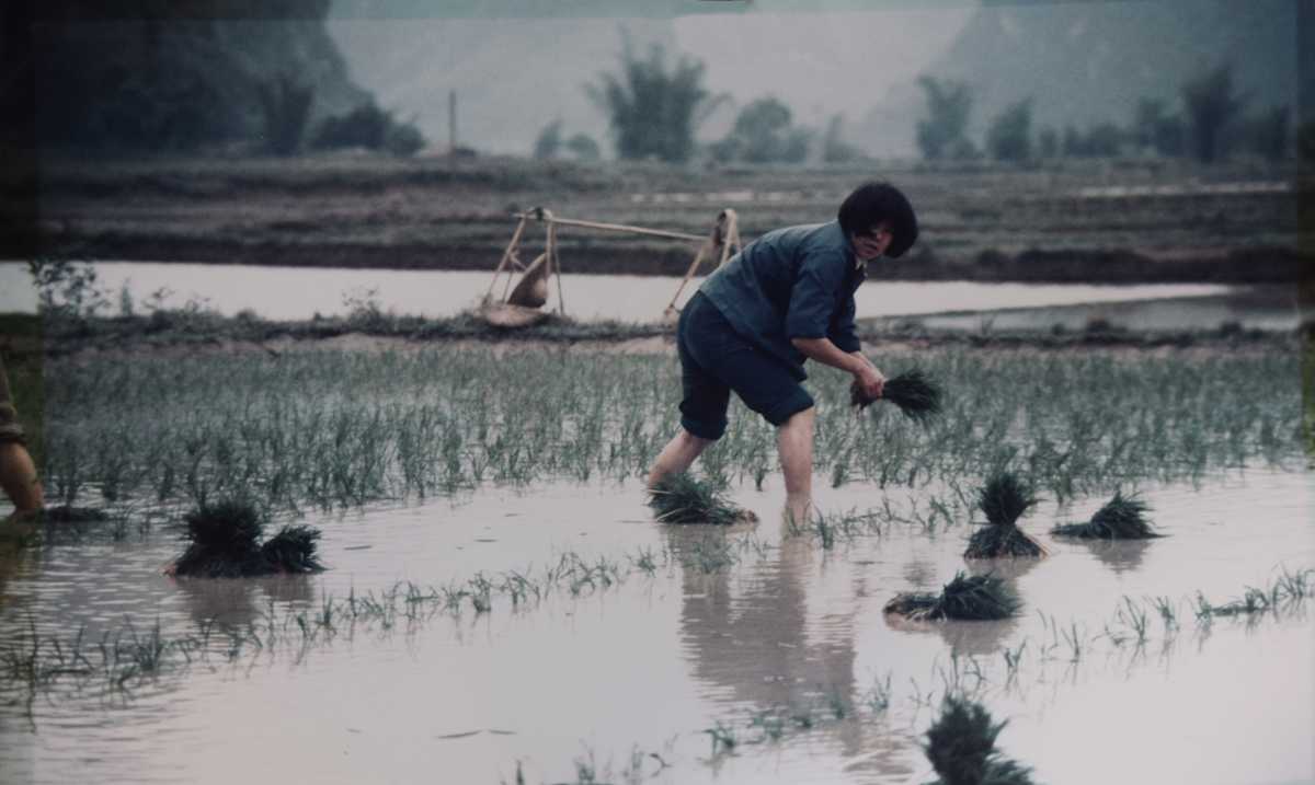 Yangshuo, Guanxi Provence by [Robert Ward], Image 1.