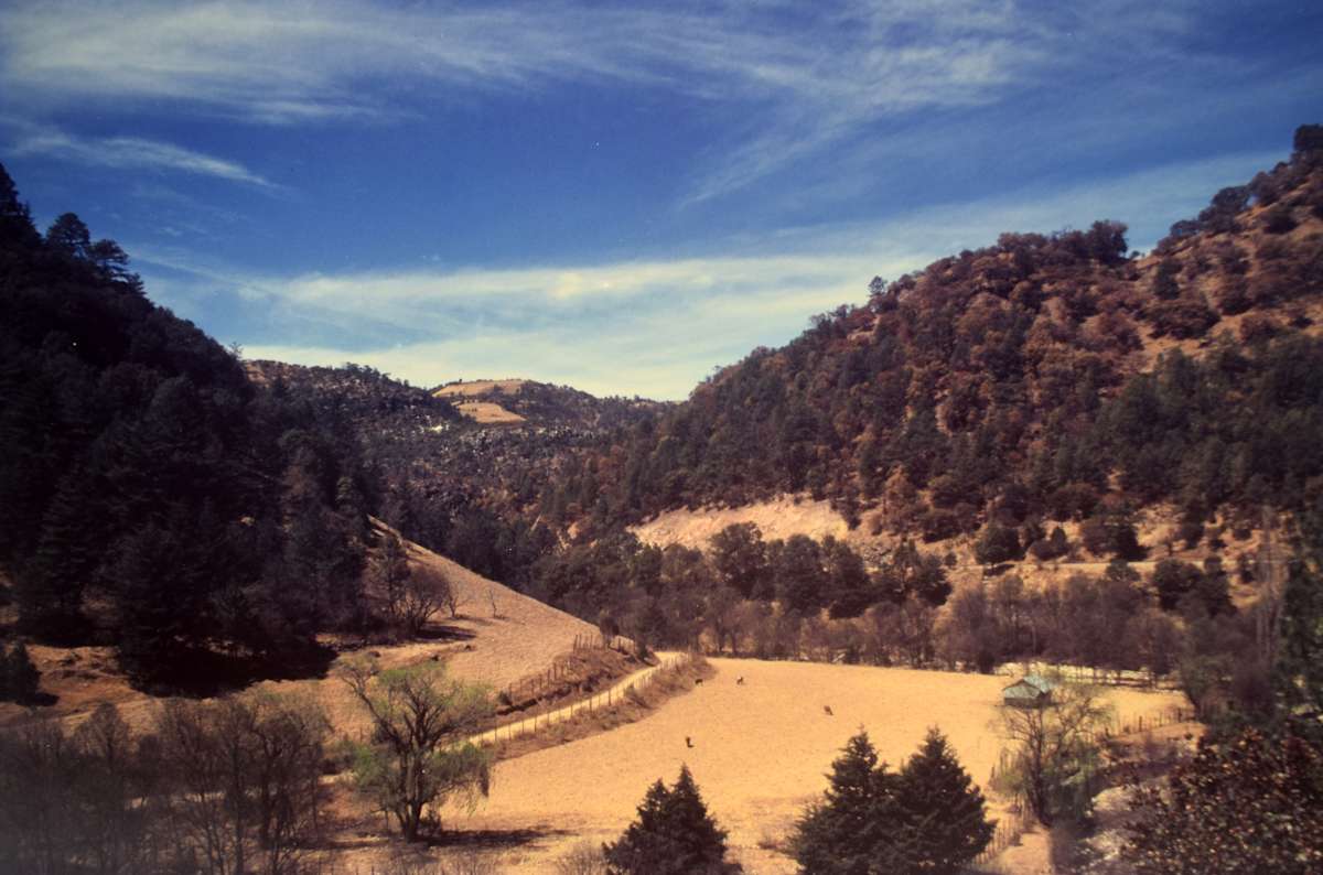 Tranquil Countryside, Chihuahua by Robert Ward, Image 1.