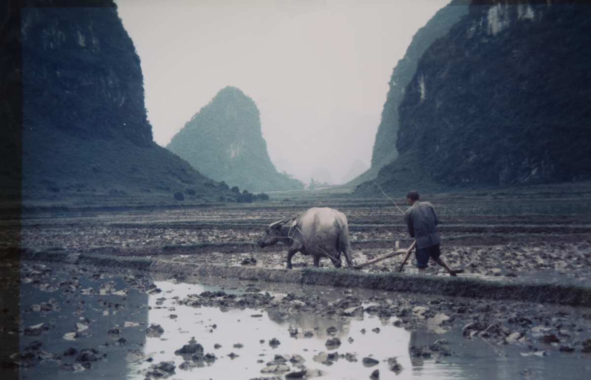Yangshuo, Guauxi Provence by [Robert Ward]  Image: Yangshuo, Guauxi Provence by Robert Ward