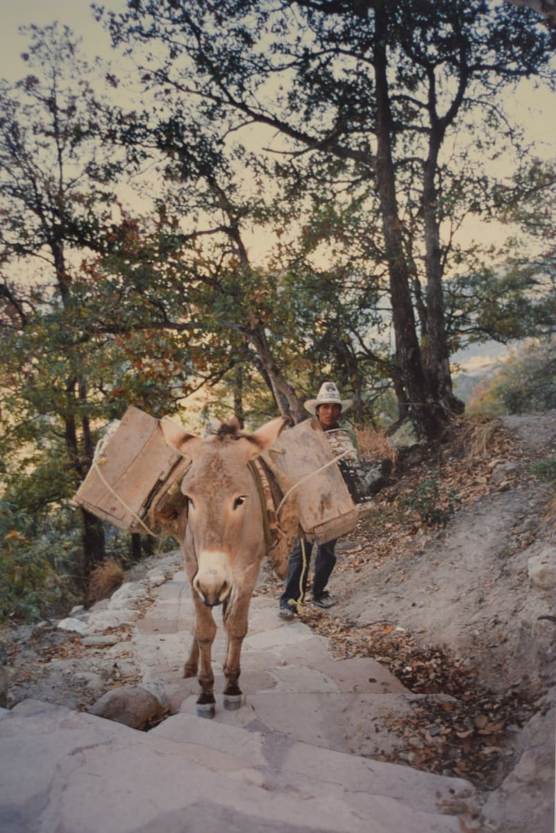 Tarahumara with Burro, Copper Canyon by Robert Ward 