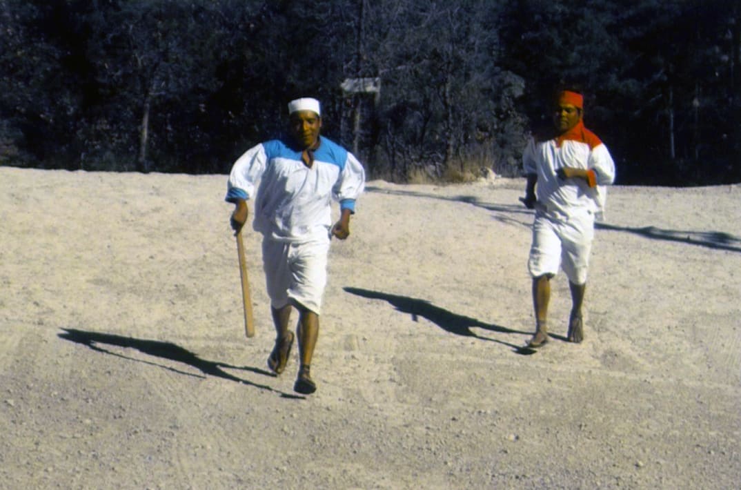 Indian Runners, Divisdore by Robert Ward, Image 1.