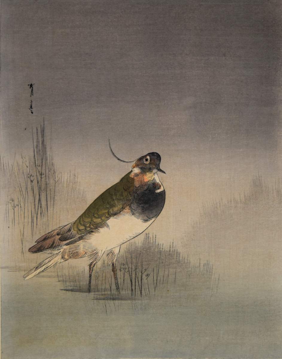 Marsh Bird by Ohara Koson, Image 1.