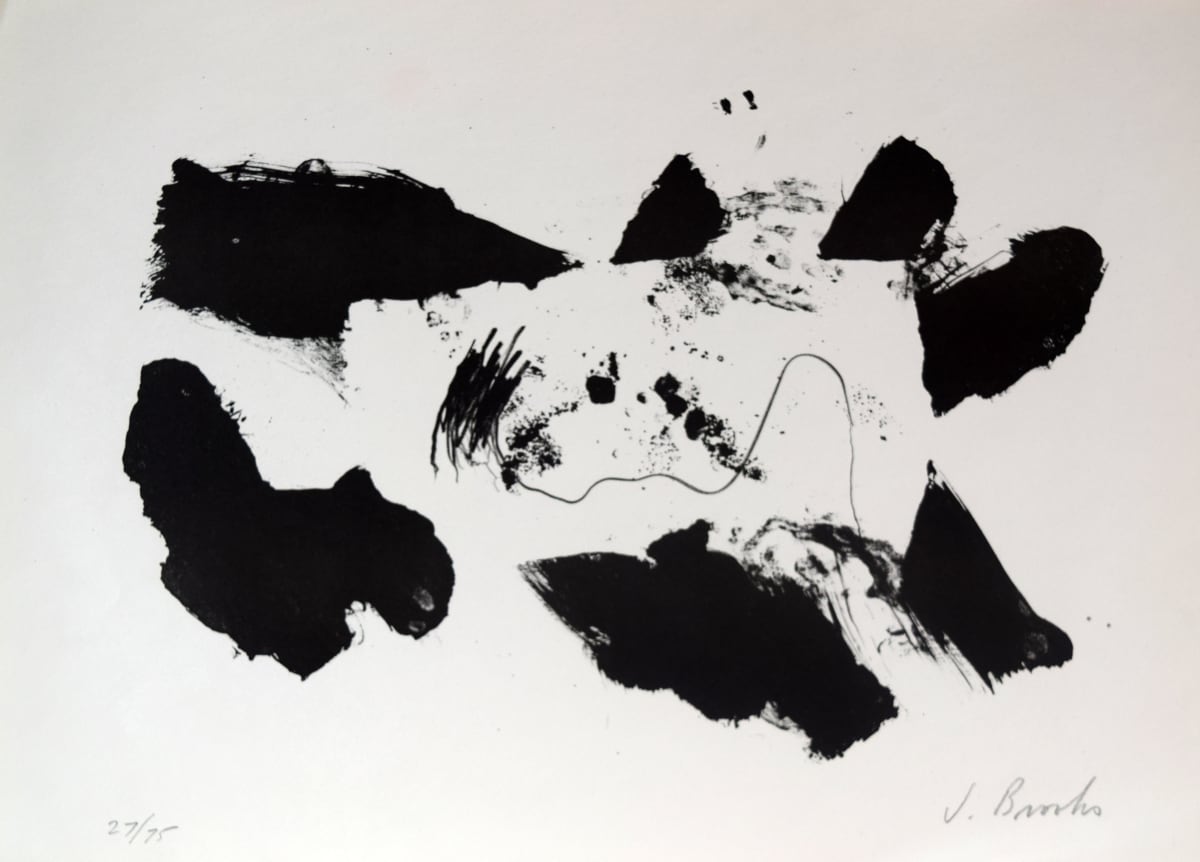 Black and White by James Brooks 
