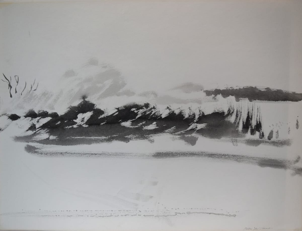 Landscape in Fog by [Peter] Strickman 