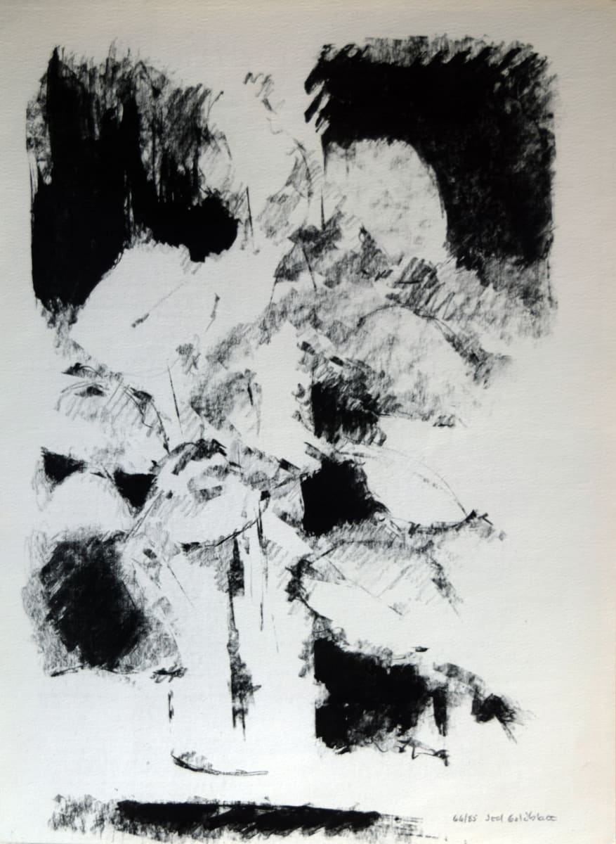 Dark Still Life by Joel Goldblatt 