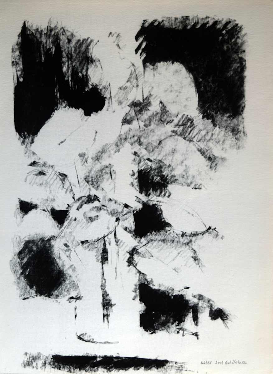 Dark Still Life by Joel Goldblatt, Image 1.