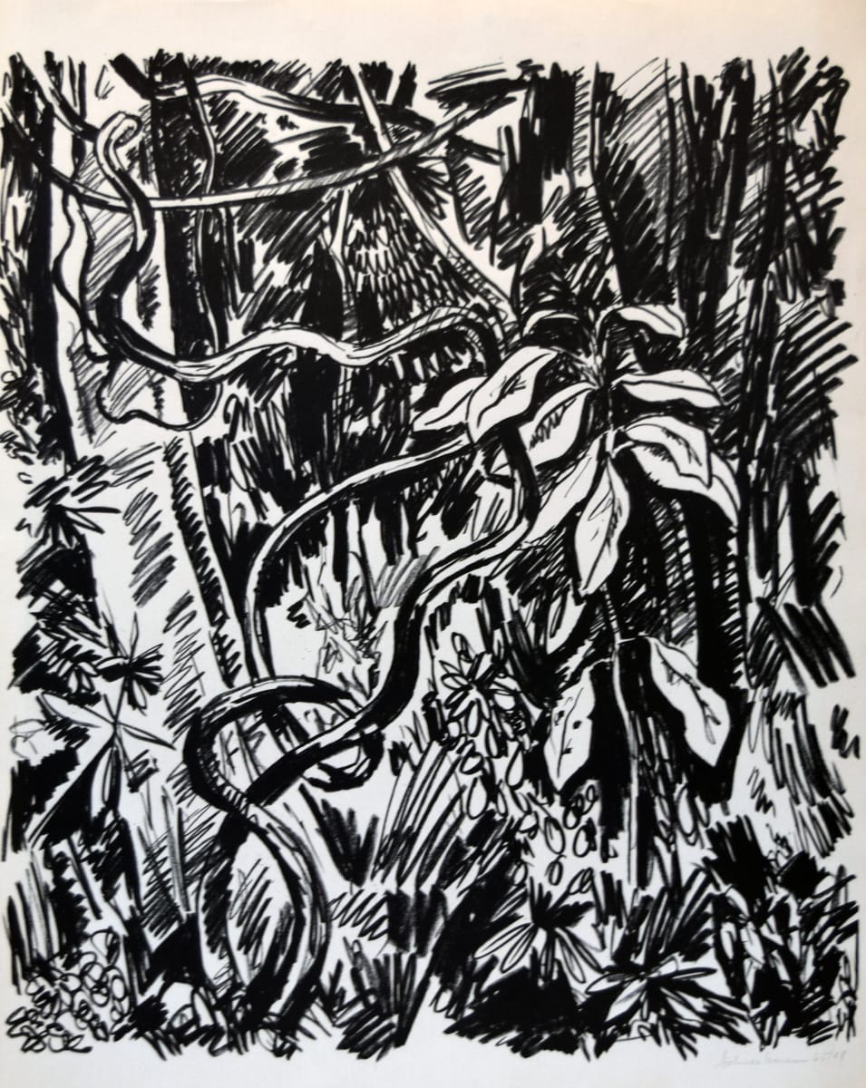 Jungle (Black) by Tobias Schneedbaum 