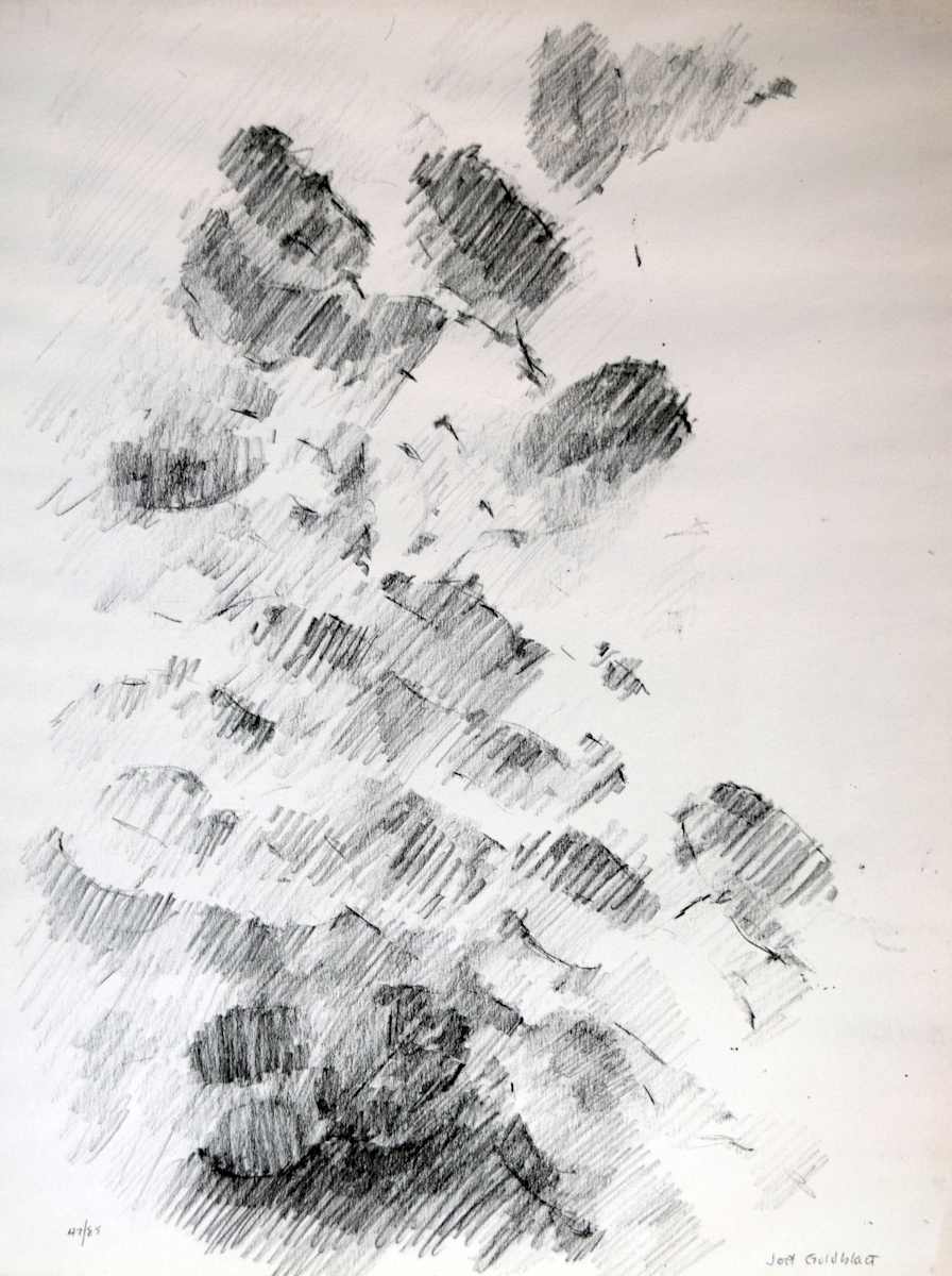Leaves and Light by Joel Goldblatt, Image 1.