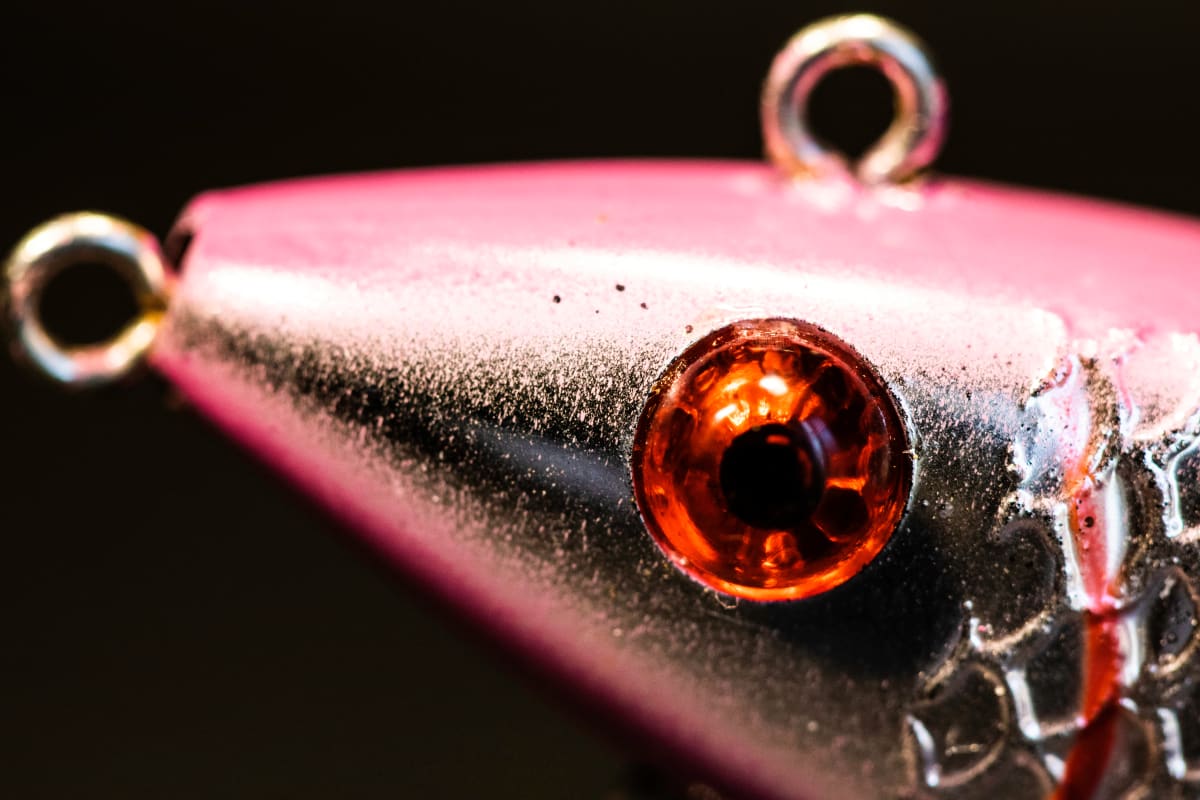 Macro Fishing II by Trevor DiTuillio, Image 1.