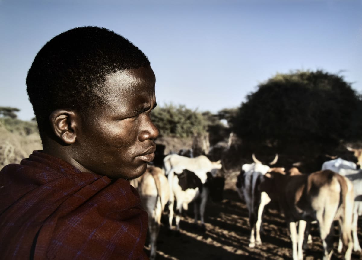 Engikaret Profiles by Rushell Kwong 