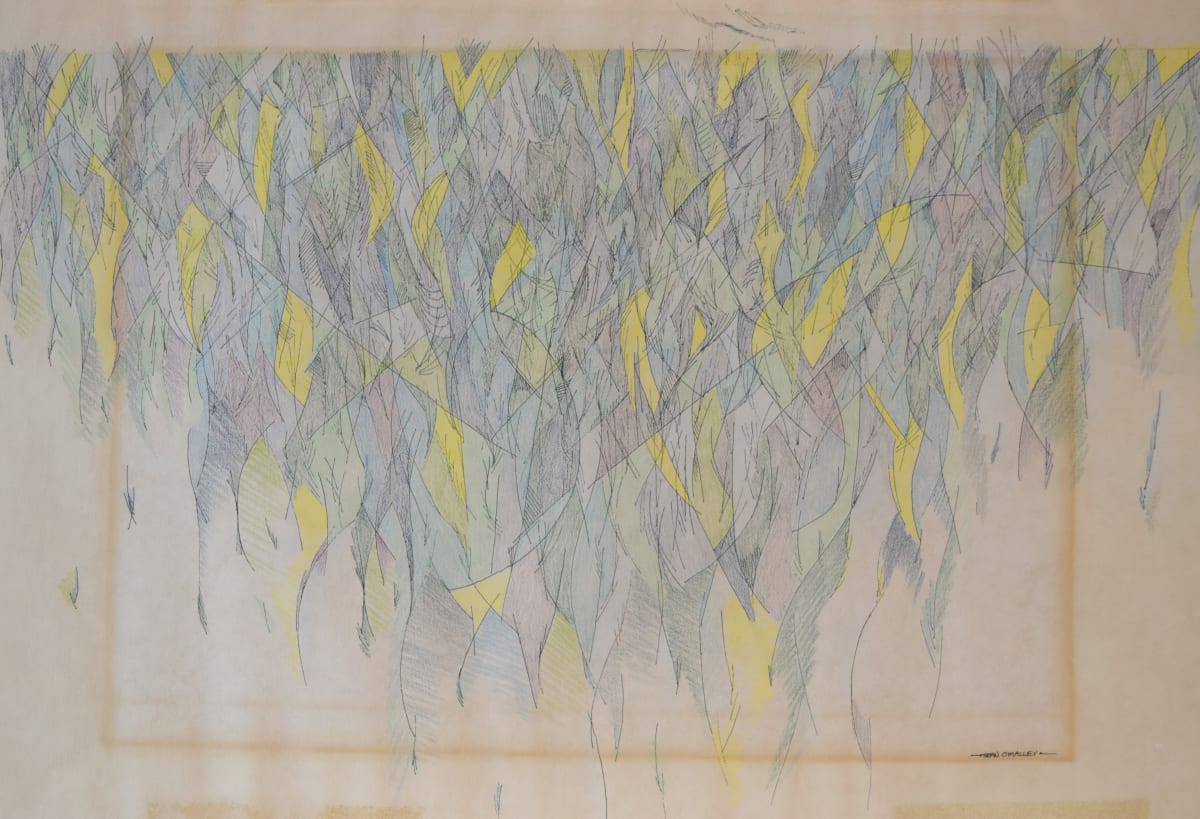 Heavy Rain by Sean O'Malley 