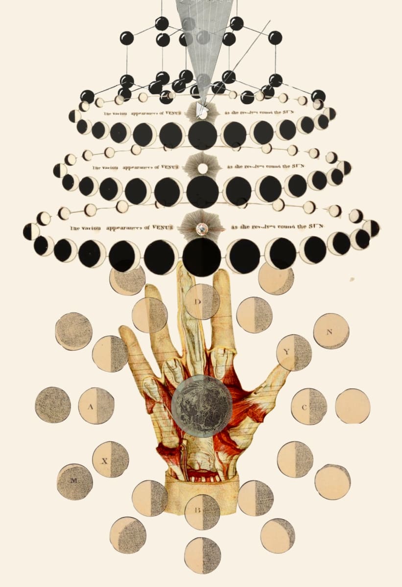 Cycles by Travis Bedel 