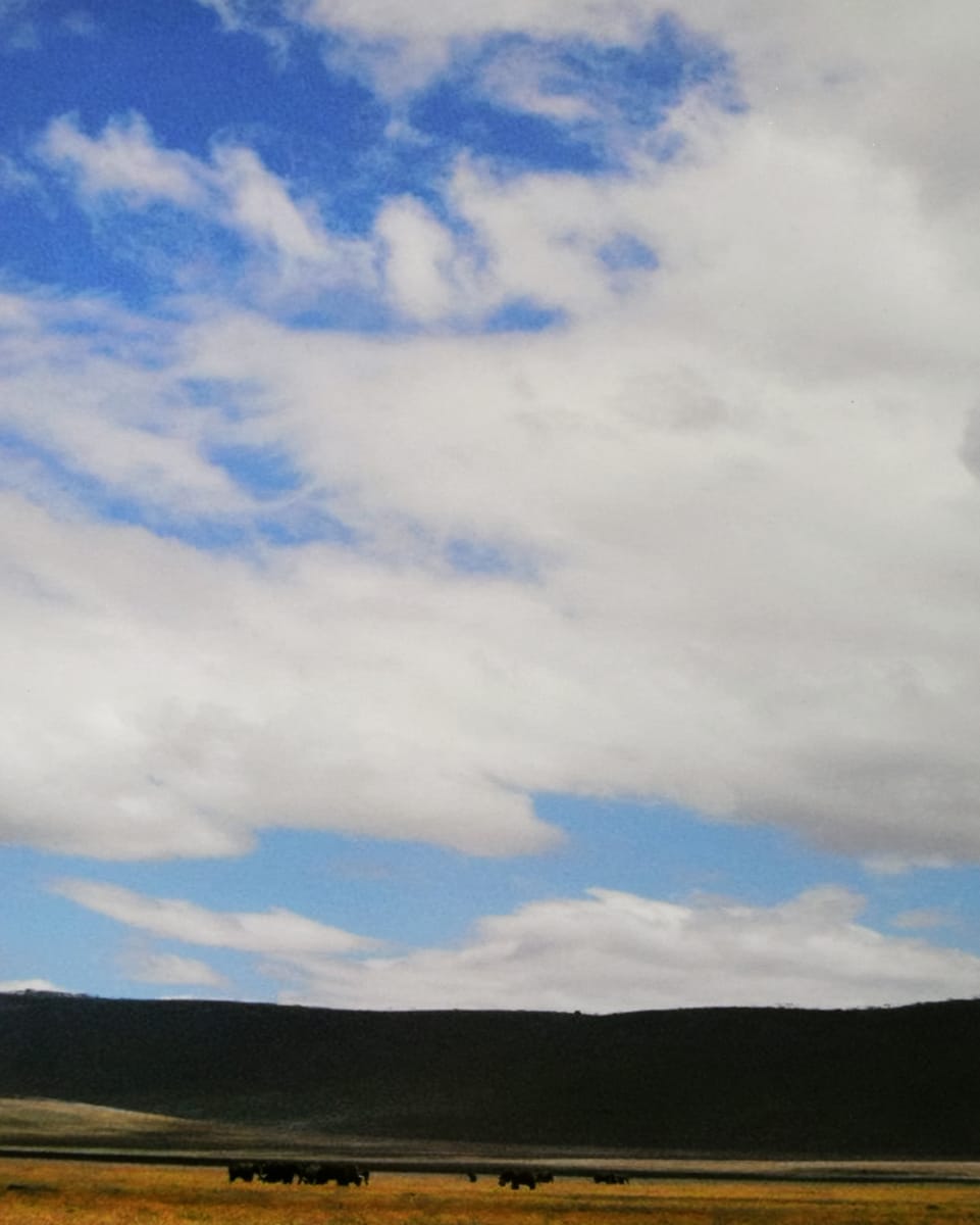 Unknown by Robert Ward 