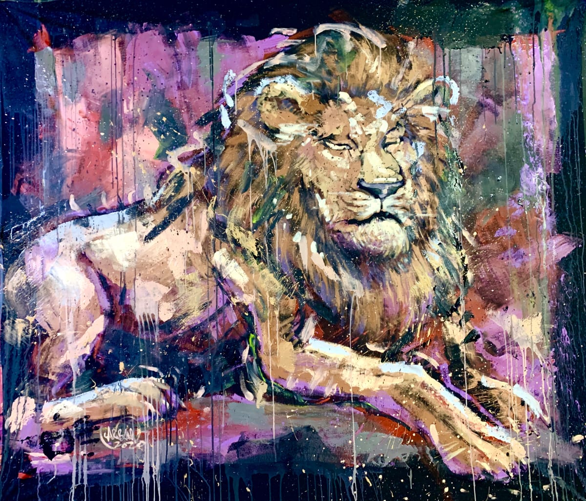 Lion Rest by David Garibaldi 
