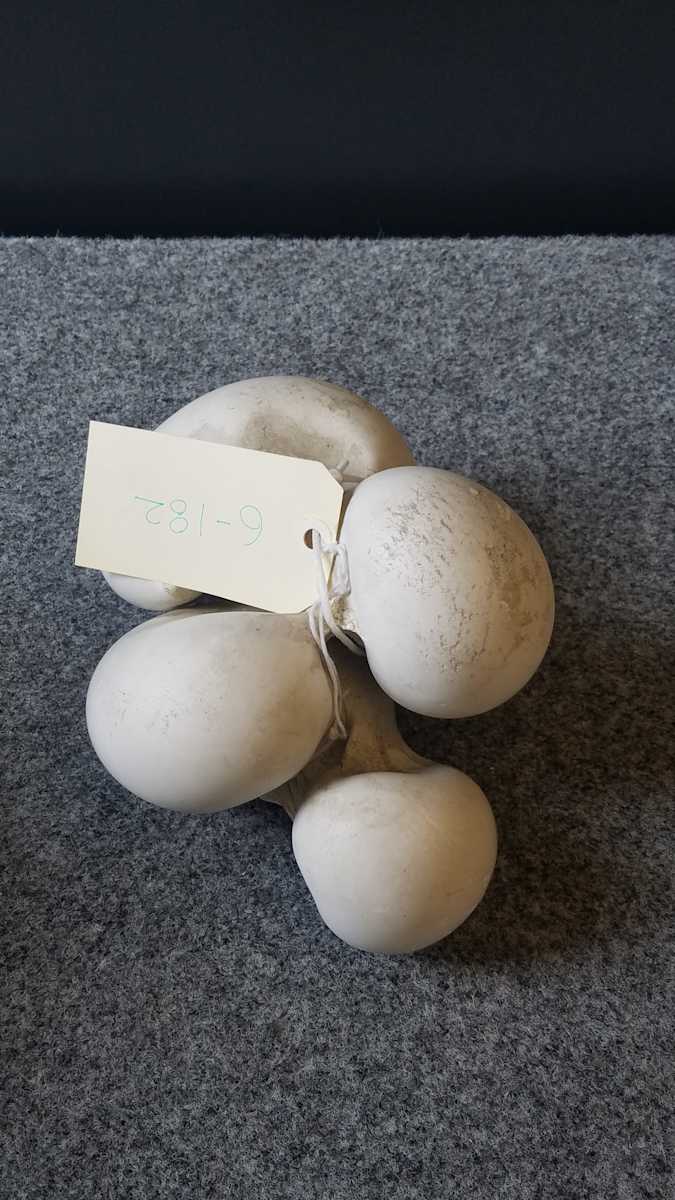 Twisted Swirls by Peter Agostini 