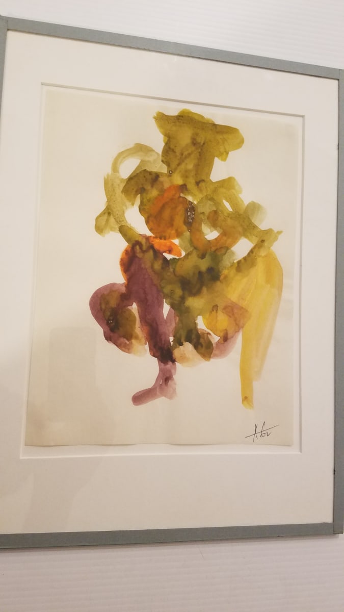 Unknown by Peter Agostini, Image 4.