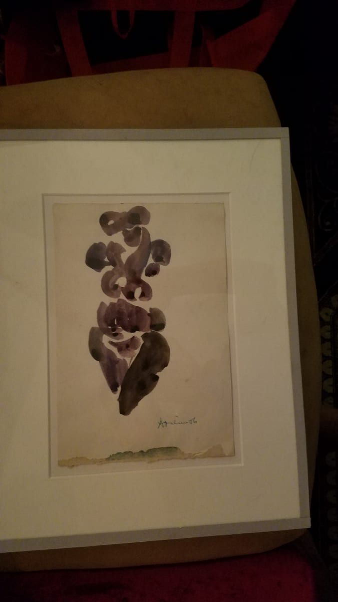 Unknown by Peter Agostini 