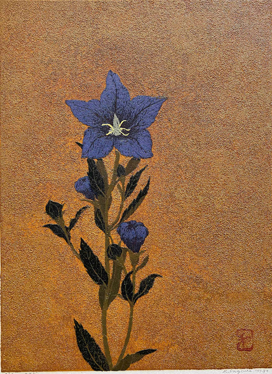Bell Flower, Image 6.