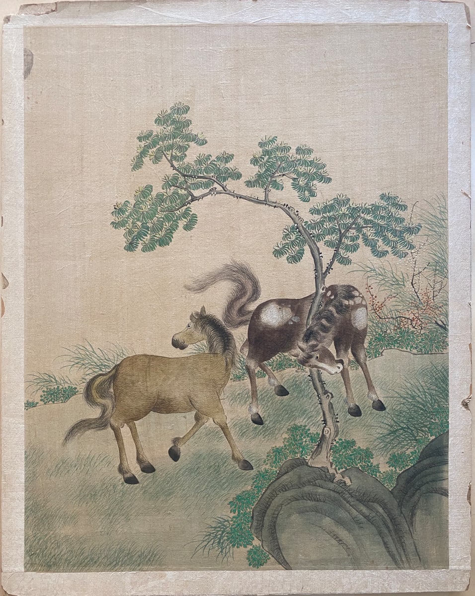 Two horses frolicking 