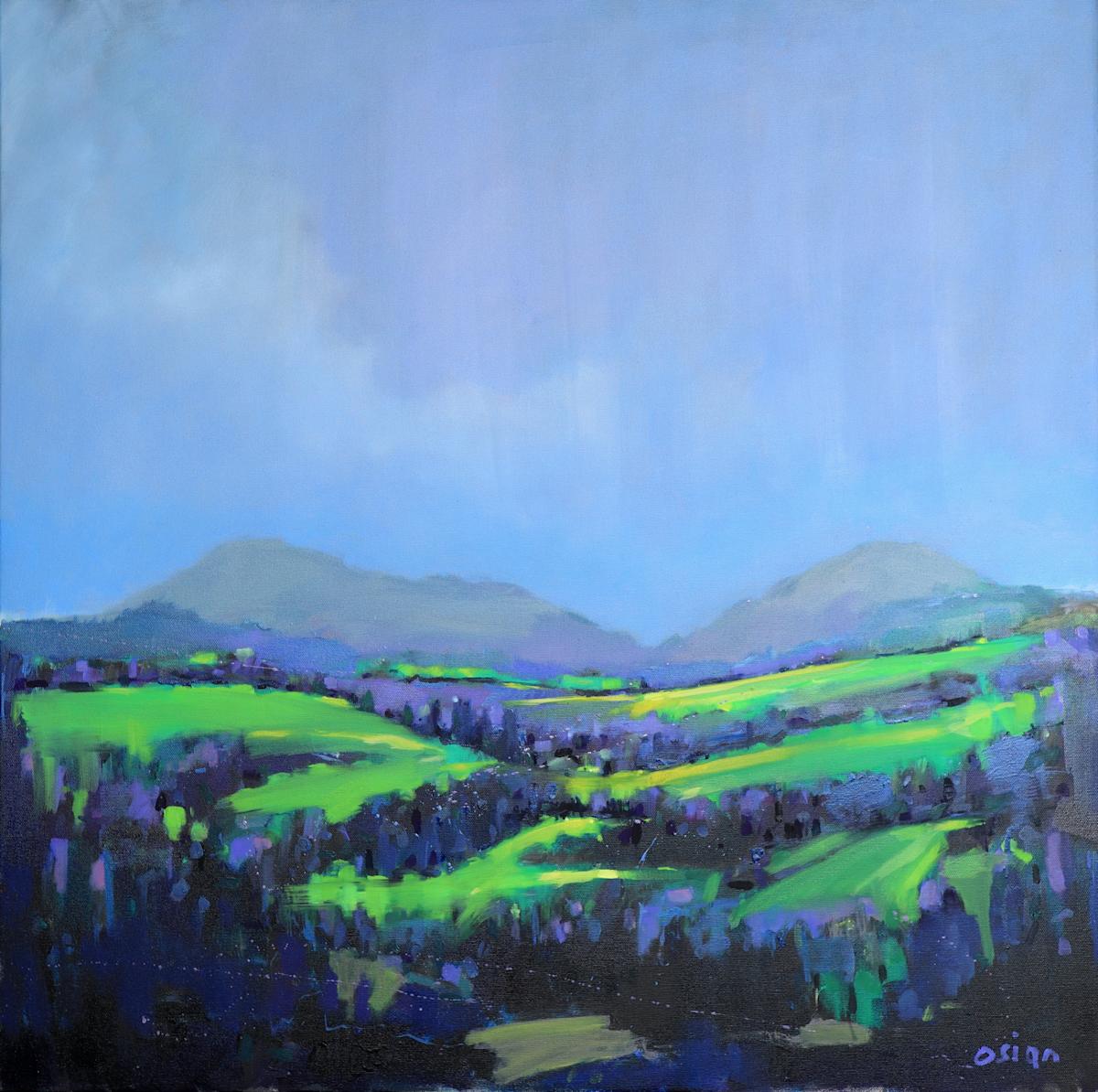 Bright Field, Image 3.