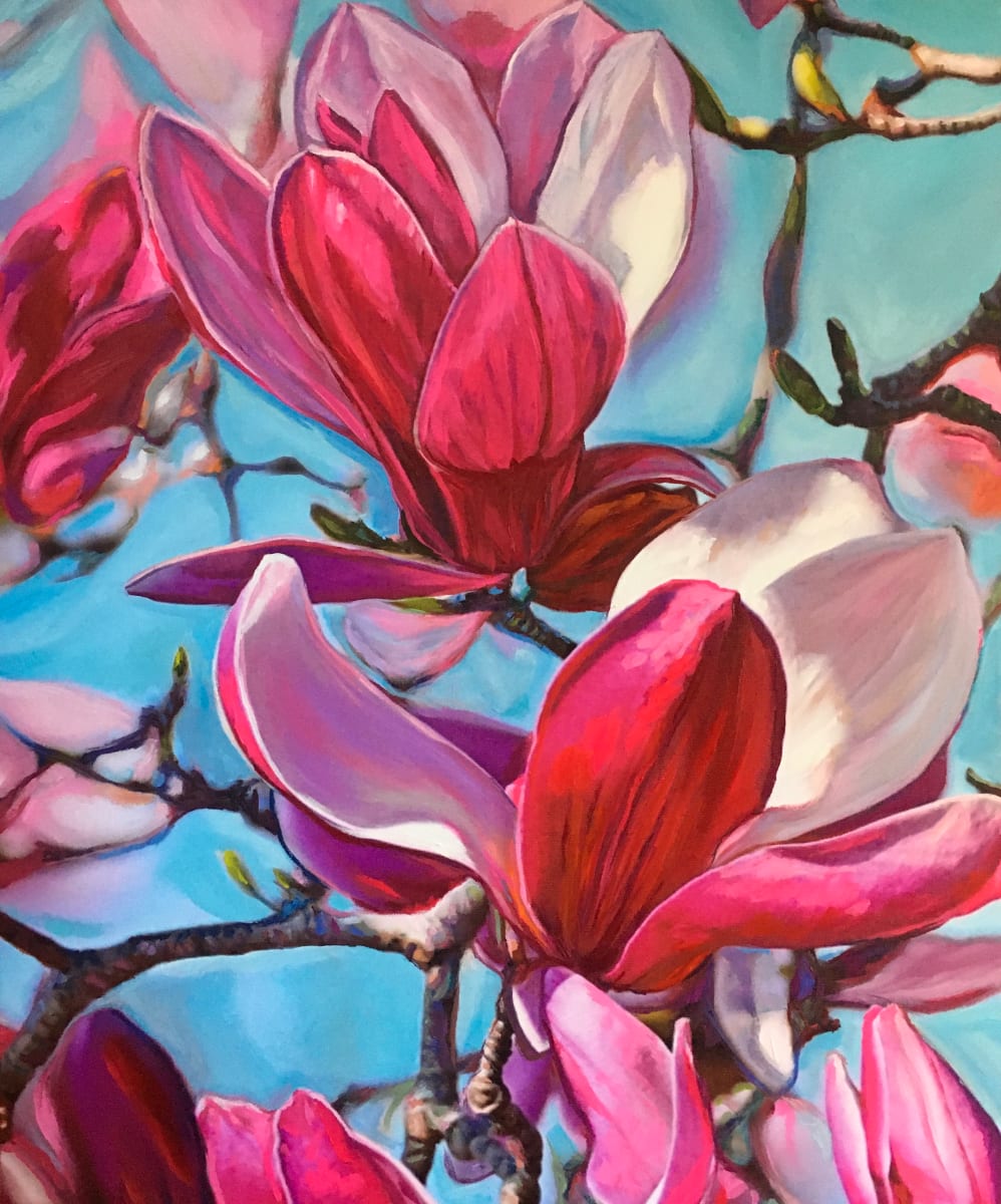 Magnolias 