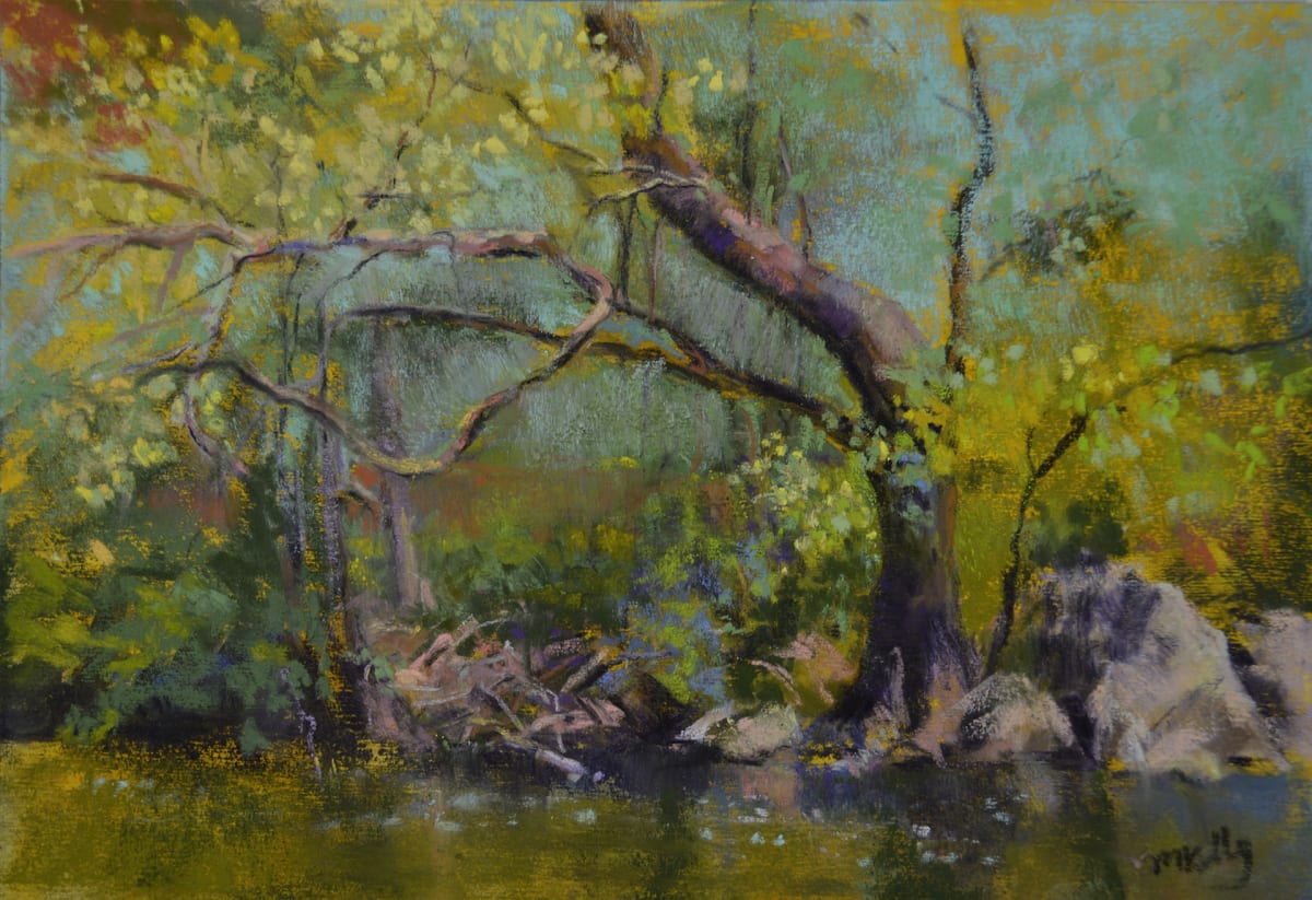 Spring Along the Creek 