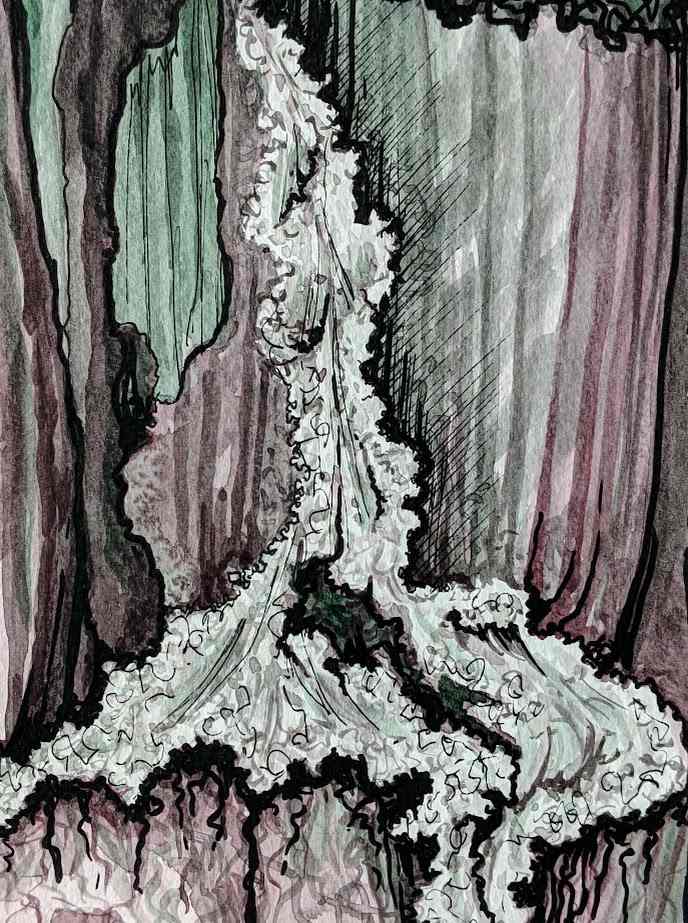 Dark Waterfall by Marjorie  Cutting 