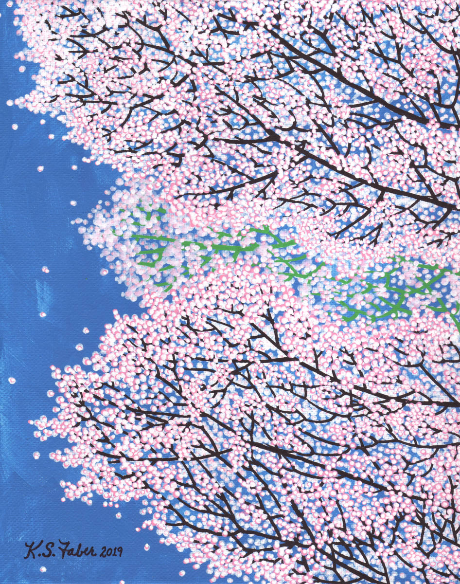 Cherry Blossoms 