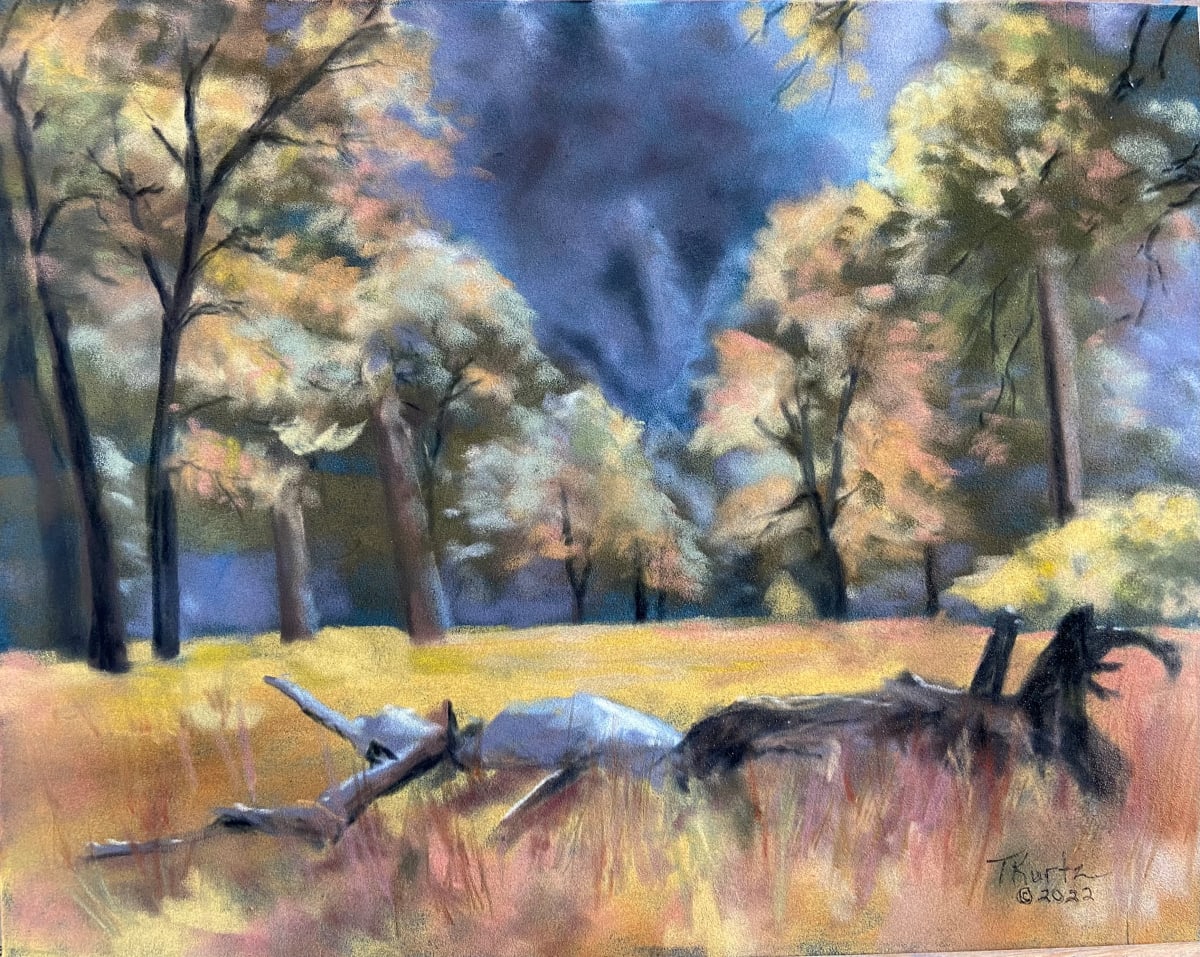 Mountain Meadow Gold by T Kurtz 