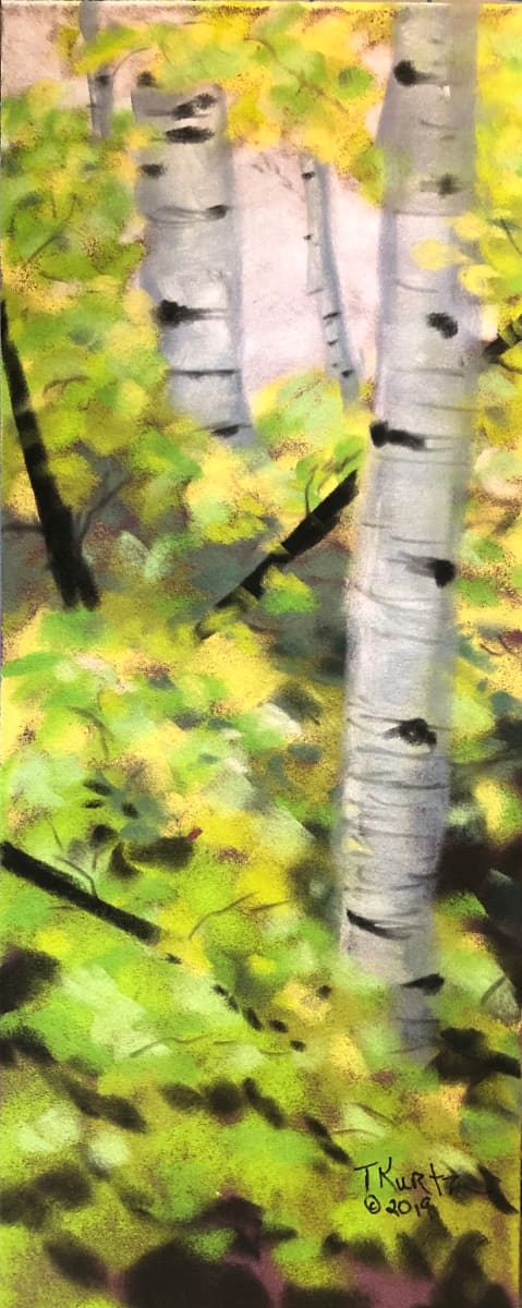 Aspen Study IIV by T Kurtz, Image 1.