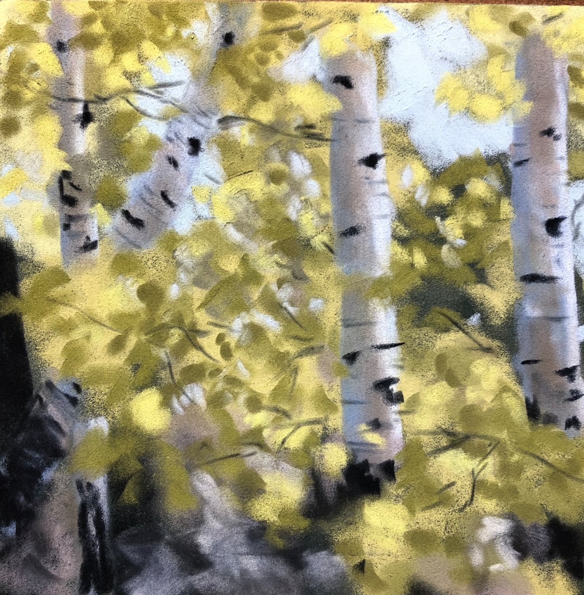 Aspen Study IV by T Kurtz, Image 1.