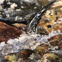 Cascade Over Red Rocks by T Kurtz 