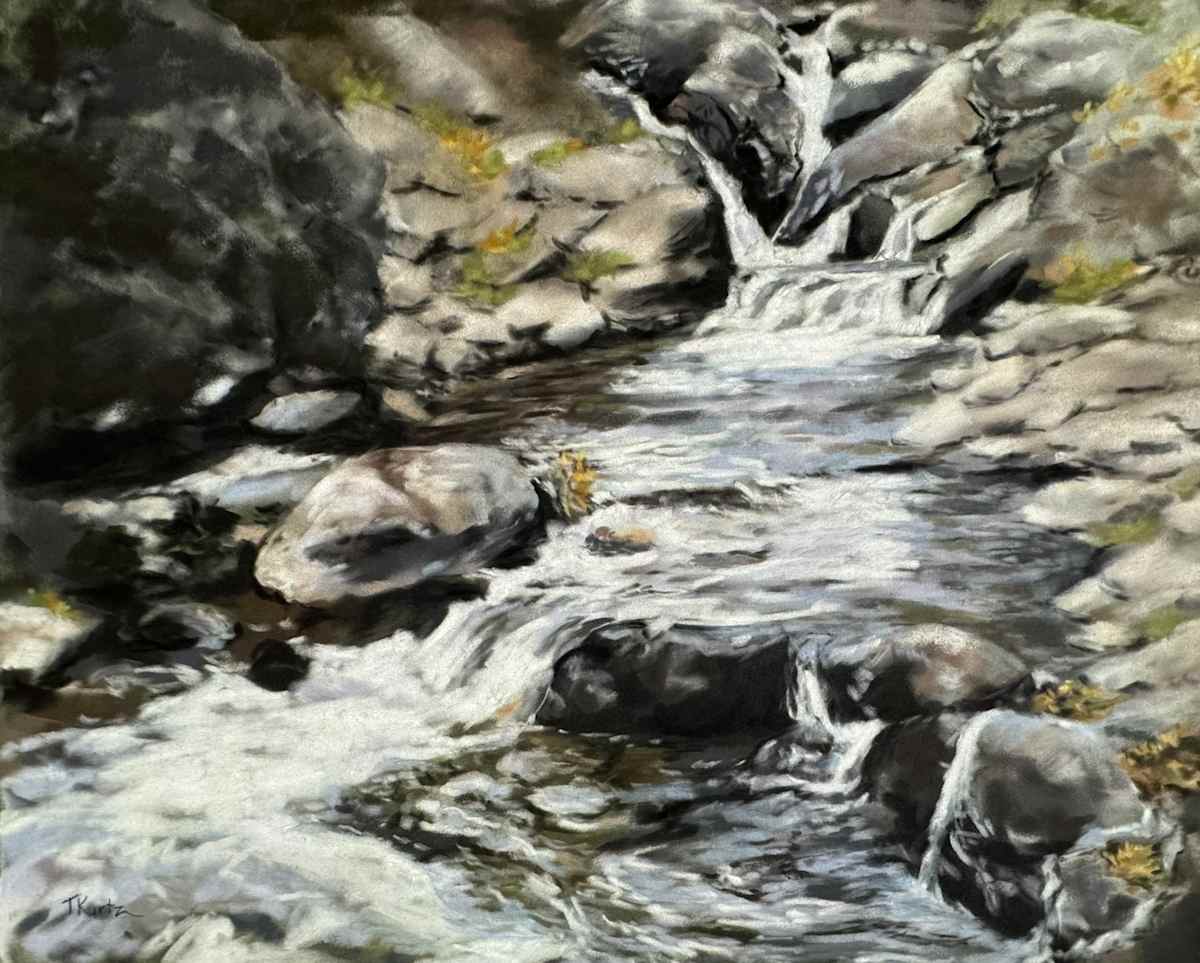 Hidden Falls by T Kurtz 