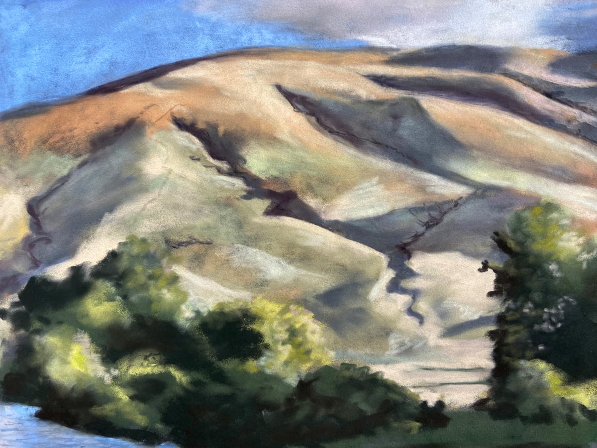 Columbia Basin Hillside original pastel by T Kurtz 